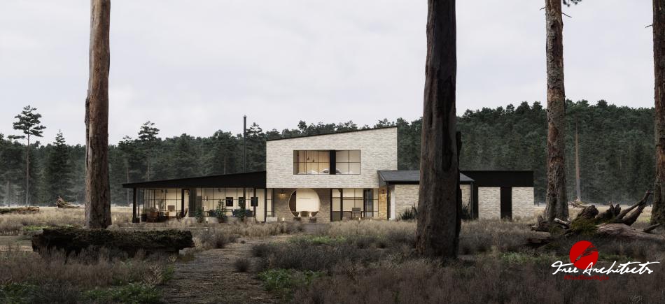Návrh rodinného domu u lesa v industriálním stylu 2016